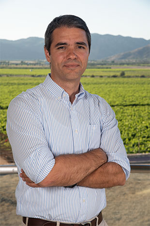 Arq. Jesús D'Alessandro